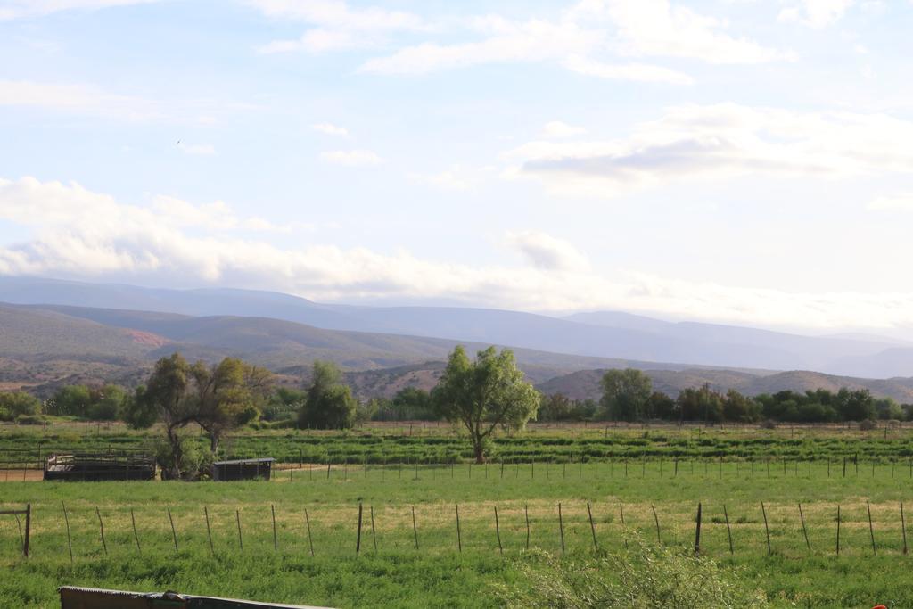 Grysbok Self Catering Accommodation Oudtshoorn Bagian luar foto