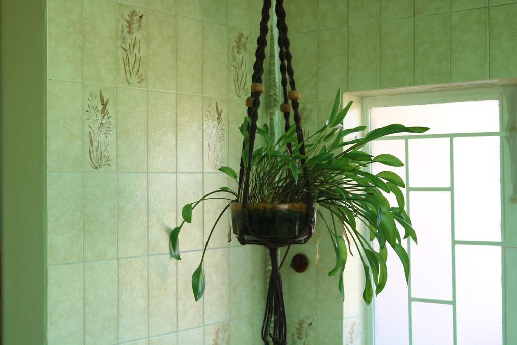 Grysbok Self Catering Accommodation Oudtshoorn Bagian luar foto